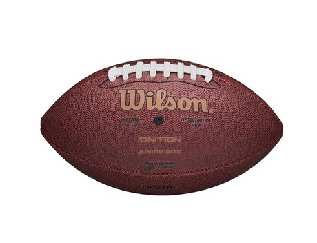 Wilson Wilson NFL Official Football, Brown 1SZ Footballs