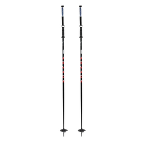Armada Armada Unisex TRIAD BB Ski Poles Multi 100 Mens Ski Poles