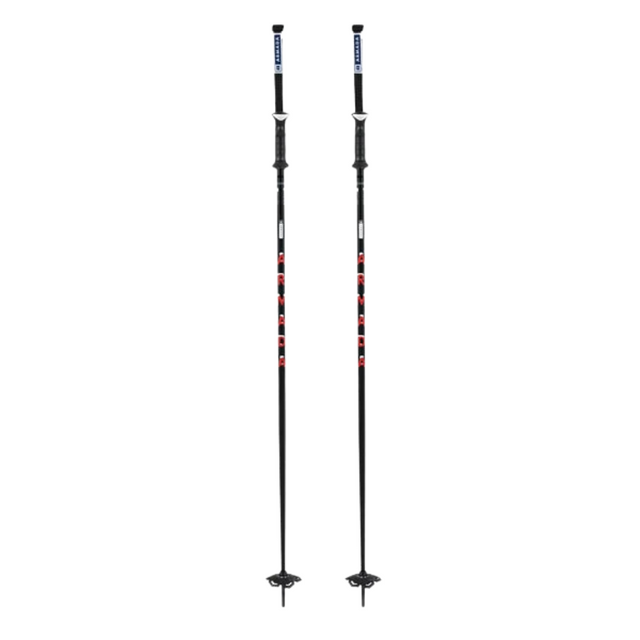 Armada Armada Unisex TRIAD BB Ski Poles Multi 100 Mens Ski Poles