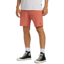 Billabong Billabong Men's Crossfire Mid Shorts Plum 30 Mens Hybrid Land and Sea Shorts