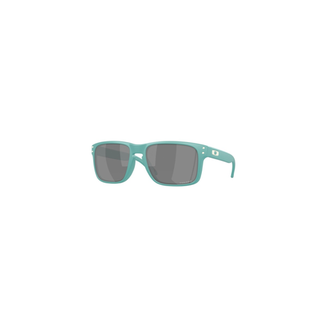 Oakley Oakley Holbrook - Men's Sunglasses Woodgrain Mens Sunglasses Lifestyle