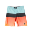 Quiksilver Quiksilver Everyday Panel 17" Boardshort for Boys 8-16 Irongate 24 Youth Boys (8-12) Boardshorts