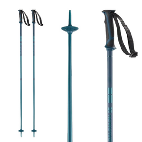 Salomon Salomon Arctic Ski Pole BLACK Mens Ski Poles