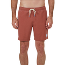 Salty Crew Men's Pylons Elastic Boardie Shorts