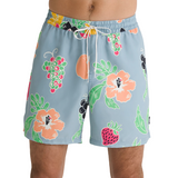 Vans Men's Primary Print Elastic Boardshorts