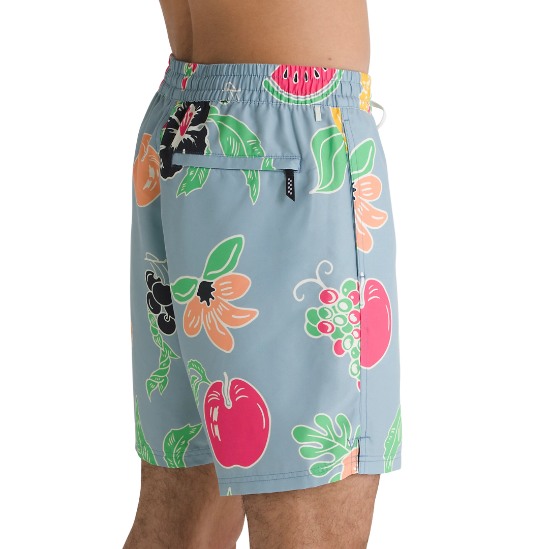 Vans Men's Primary Print Elastic Boardshorts