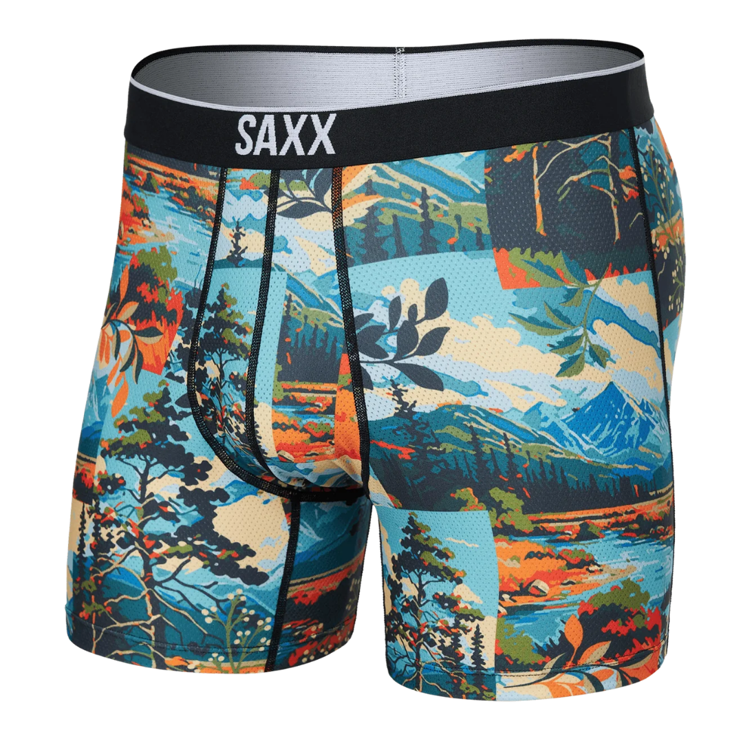 SAXX Mens Volt Boxer Brief - Painted Landscape/Multi