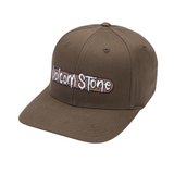 Volcom Men's Cryptic Bar Flexfit Hat