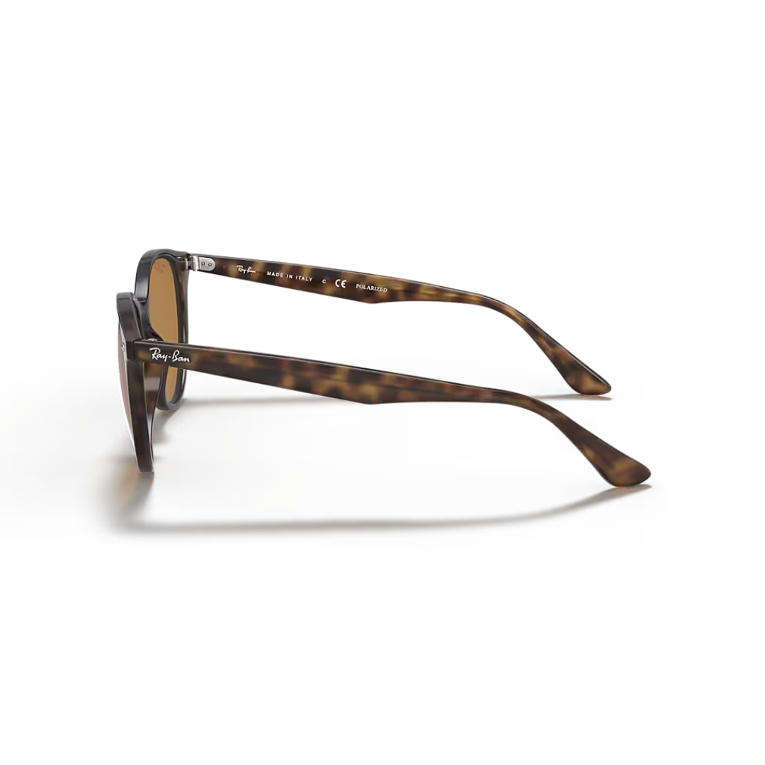 Ray Ban Light Havana with Brown