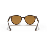 Ray Ban Light Havana with Brown