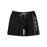 Quiksilver  Men's Everyday Vert Volley 2 17NB Shorts