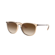 Ray Ban Ray Ban Erika - Unisex Sunglasses - Transparent Light Brown with Dark Brown Gradient Mens Sunglasses Lifestyle