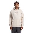Volcom Volcom Men's Stone PO Dust Heather M Mens Pullover Hoodies