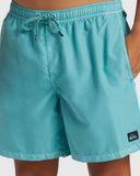Quiksilver Quiksilver Men's Everyday Surfwash Volley 17" Shorts Marine Blue S Mens Elastic Swim Trunks