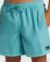 Quiksilver Men's Everyday Surfwash Volley 17" Shorts