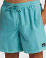 Quiksilver Men's Everyday Surfwash Volley 17" Shorts