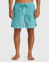 Quiksilver Men's Everyday Surfwash Volley 17" Shorts