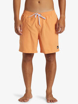 Quiksilver Men's Everyday Solid Volley 17"