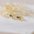 Glee Bee Love Studs in Gold