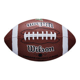 Wilson Wilson CFL Team Mini - EDM NA OS Footballs