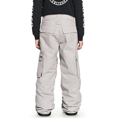 edbpt03009-skr0 DC Banshee Snow Pants grey back