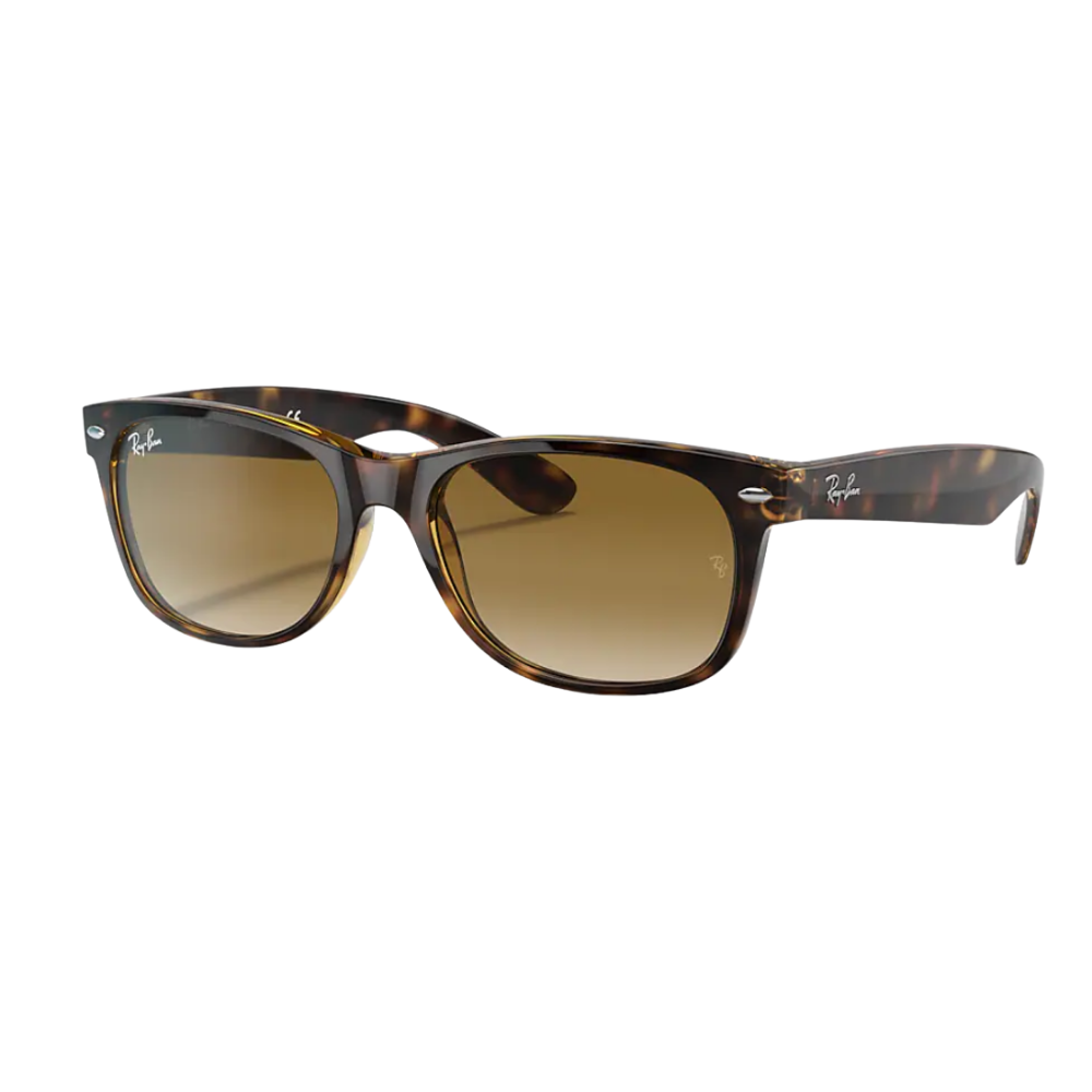 lunettes ray ban wayfarer homme