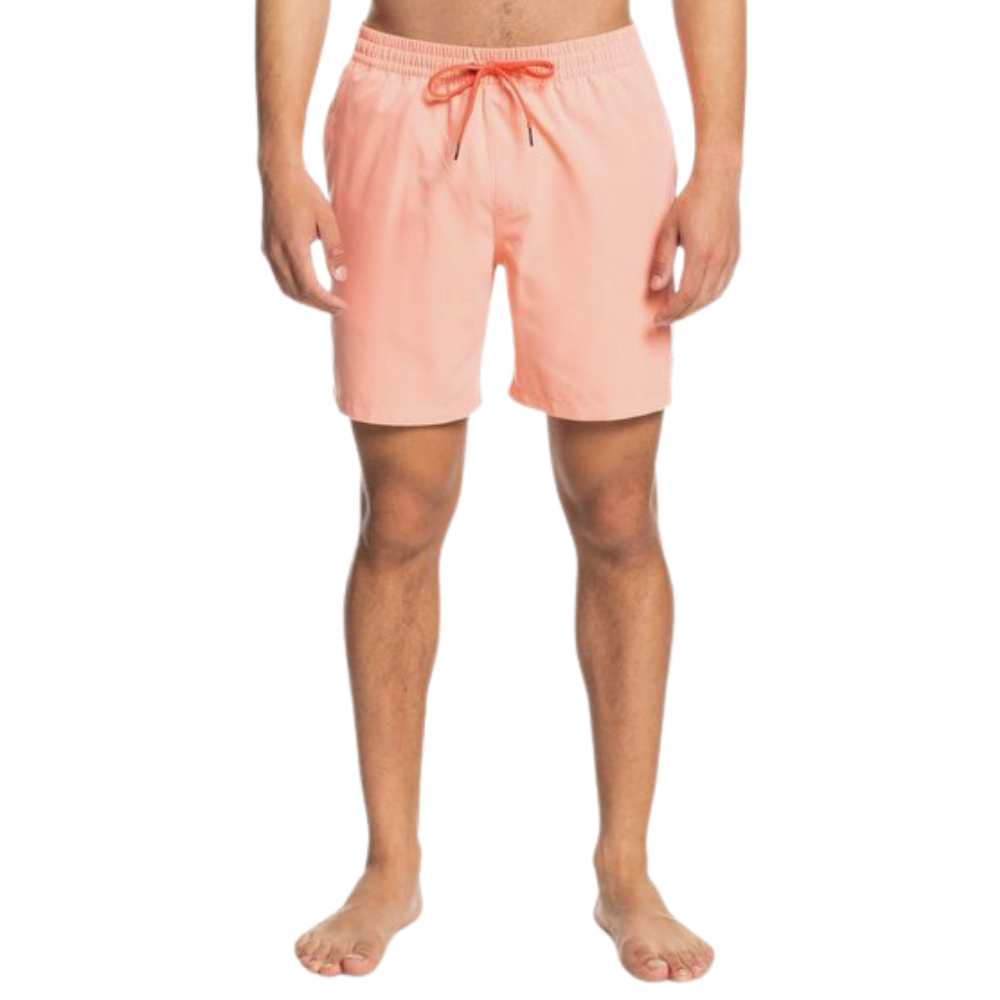Quiksilver Everyday Volley 17" Short Homme