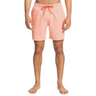 Quiksilver Everyday Volley 17" Short Homme