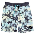 Quiksilver Youth Surfsilk Washed 17" Boardshorts