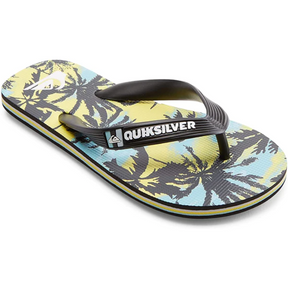 Quiksilver Quiksilver Boy's 8-16 Molokai Flip-Flops Blue 5 10 Youth Boys Sandals 5T to 13T and 1 to 7 US Size