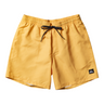 Quiksilver Everyday Volley Shorts 17"