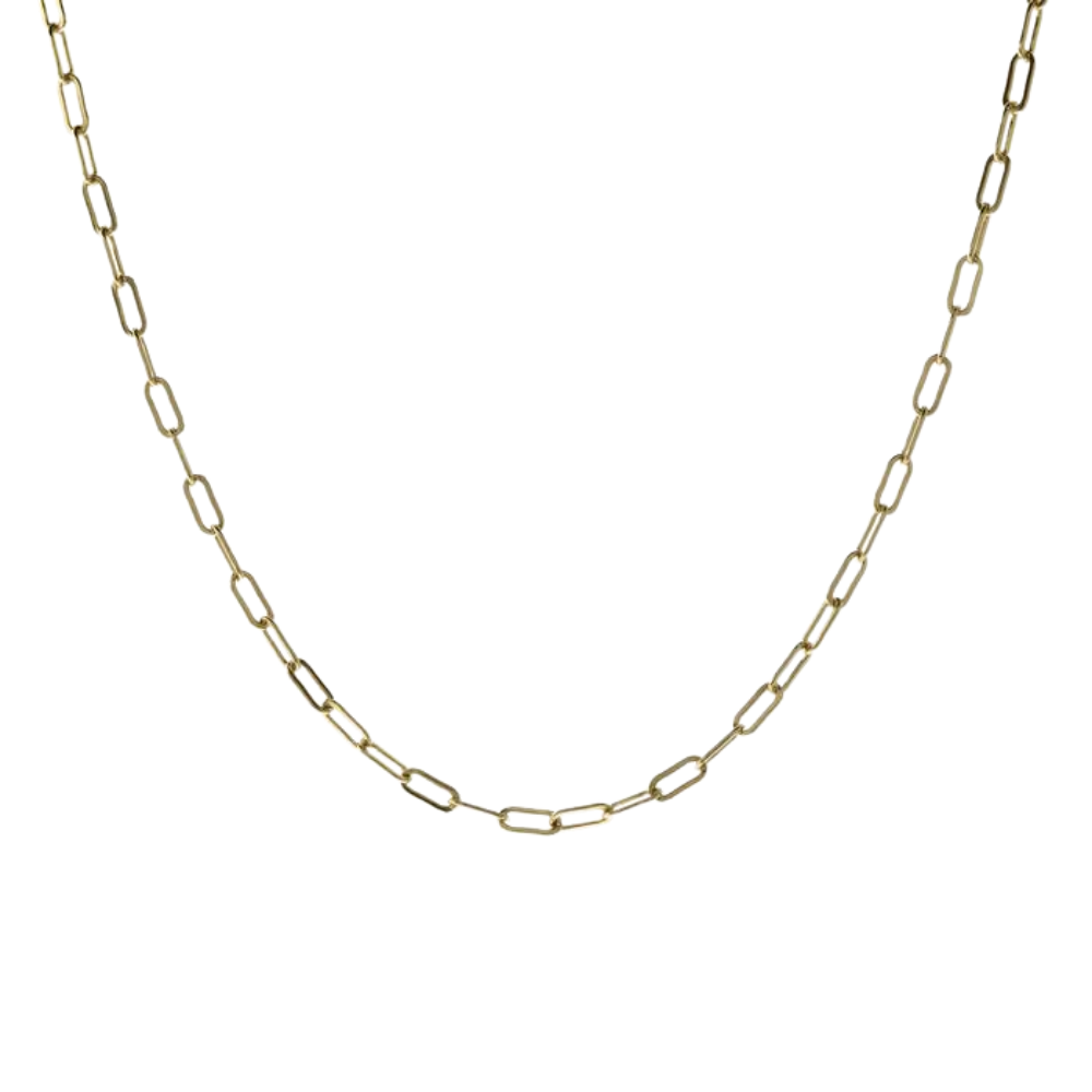 Carden Avenue - Small Golden Links Chain Necklace