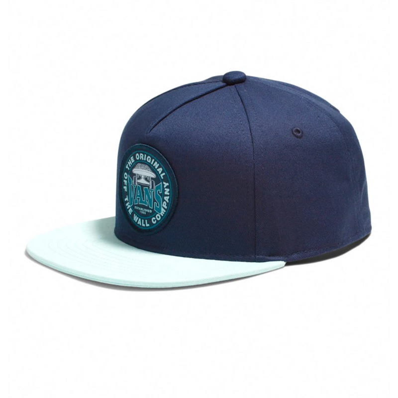 Vans Boys OTW Skate Snapback