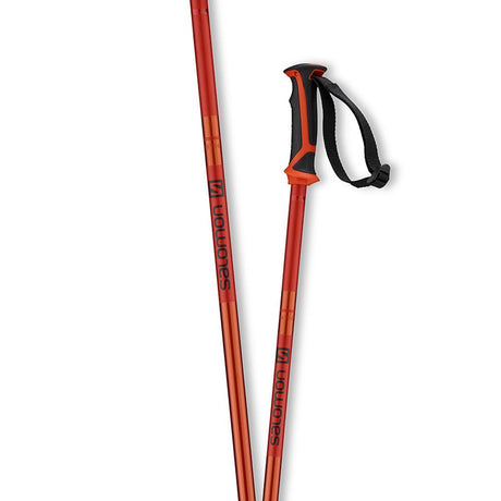 l40559000 salomon artic poles black