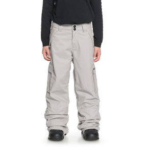 edbpt03009-skr0 DC Banshee Snow Pants grey front