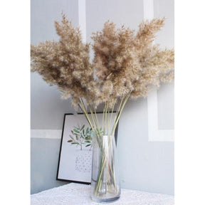 Shopnomads Naples Pampas Beige 5 Stems Home Decor