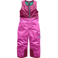 The North Face Insulated Bib Pants For Toddlers