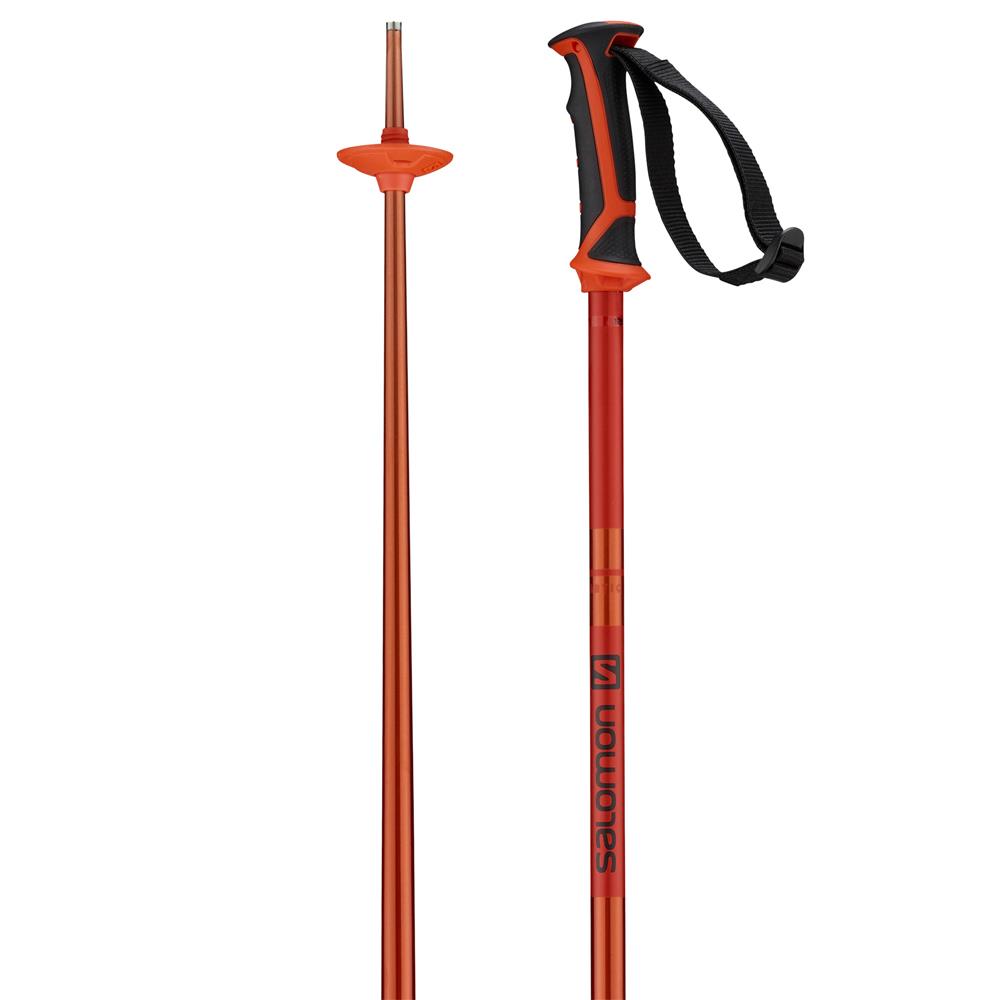 Salomon Arctic Poles Black 115 cm
