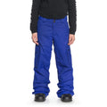 edbpt03009-prm0 DC Banshee Snow Pants blue front